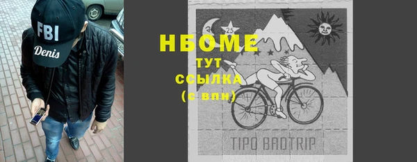 крисы Бронницы