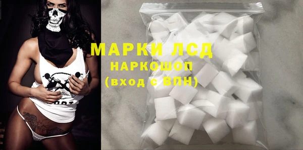 крисы Бородино
