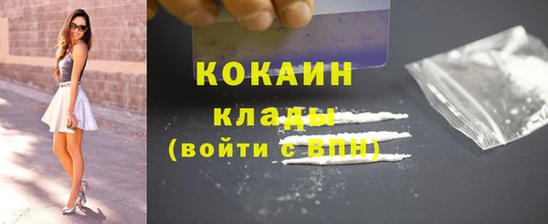 крисы Бронницы