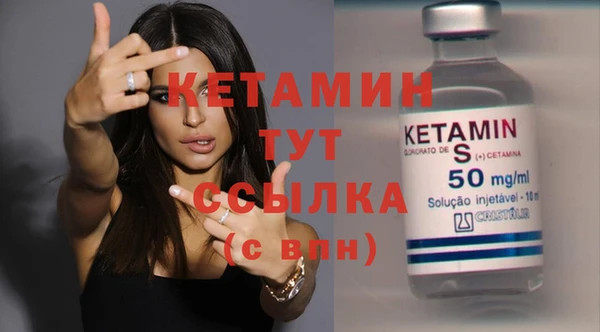 крисы Бородино
