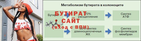 крисы Бородино