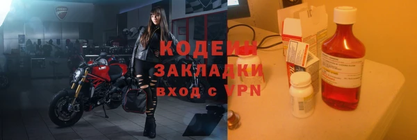 крисы Бородино