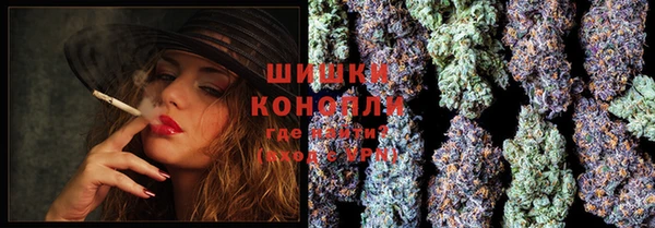 крисы Бородино