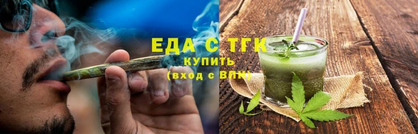 крисы Бородино