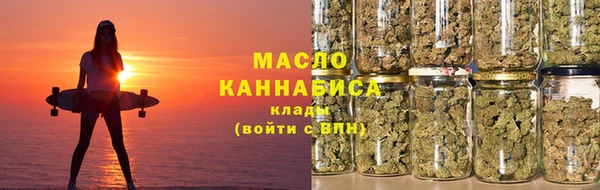 крисы Бородино