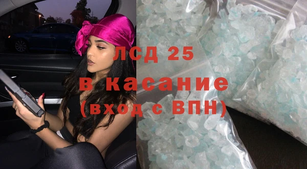 крисы Бородино