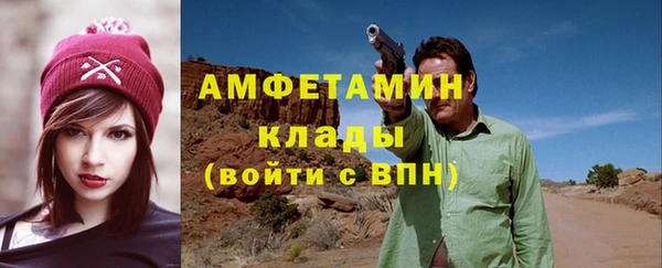крисы Бородино